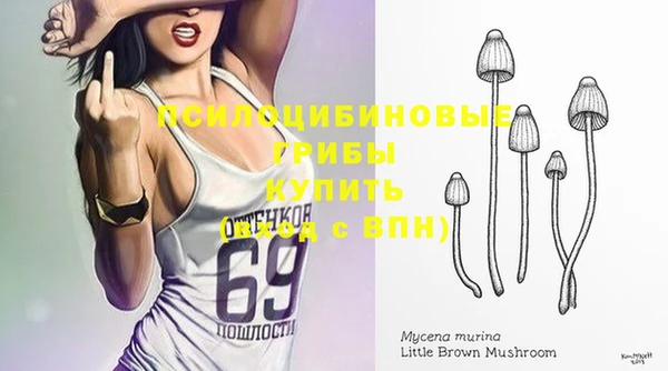 меф Осинники